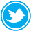 Icon Twitter